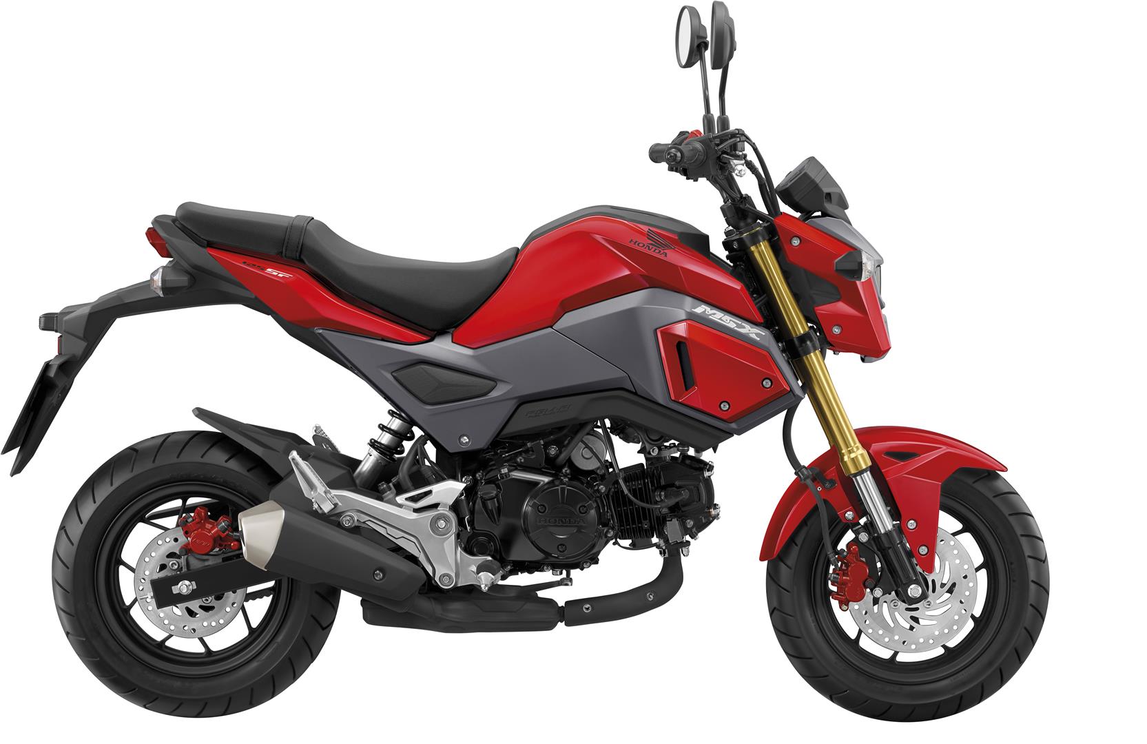 Honda MSX125 Colorchart Red Hires Large