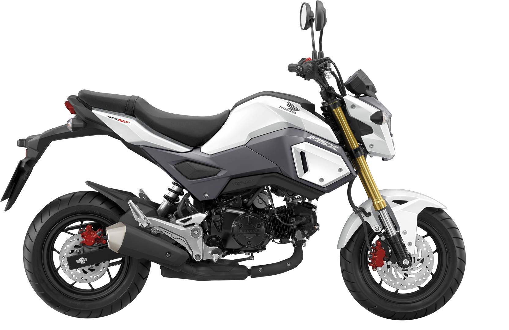 Honda MSX125 Colorchart White Hires Large