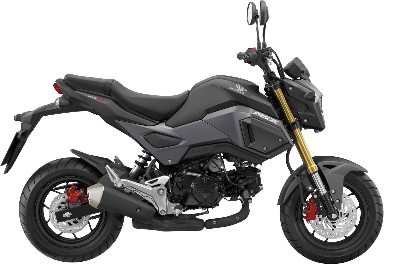 Honda MSX125 Colorchart black Hires Large